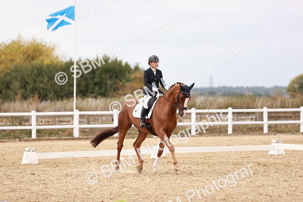 SBM_019256 - Class 20 - Medium 5