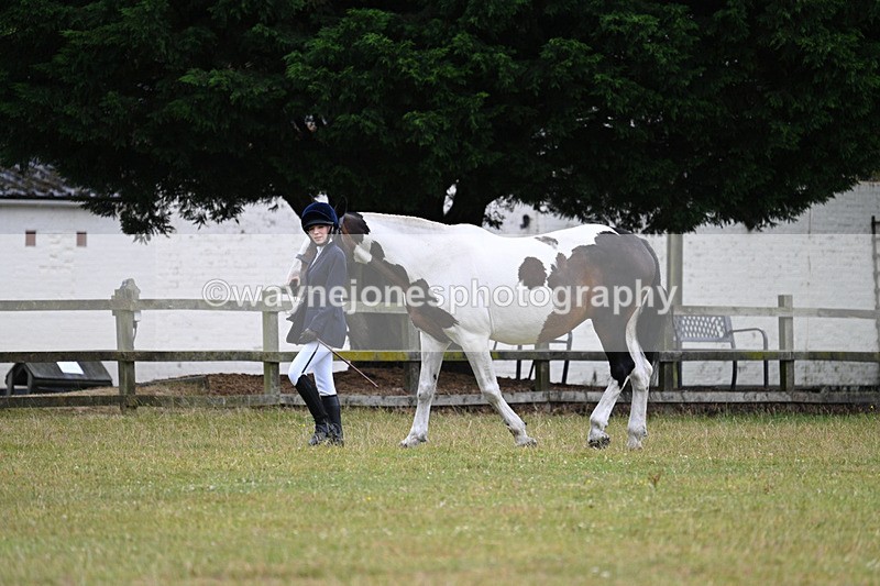 WJ7_6086 - Class 4a Prettiest Mare over 14hh