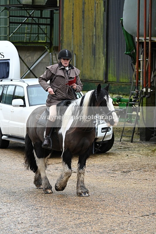 WJ7_8746 - Berks & Bucks - Rowles Farm 15-02-26