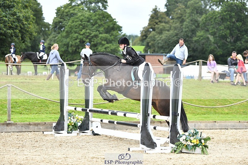 230827-121831-24423 - SJ 11.30 to End