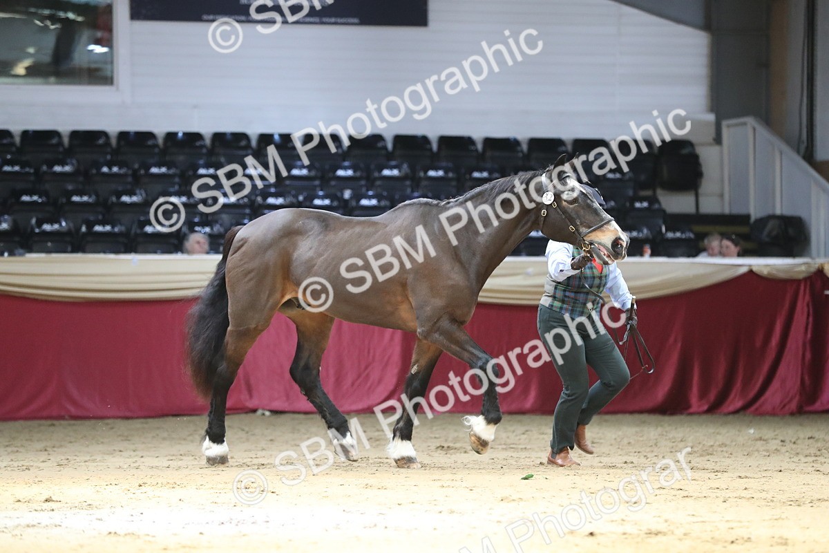 SBM_04323 - Class 7R Regional - IH Diamond