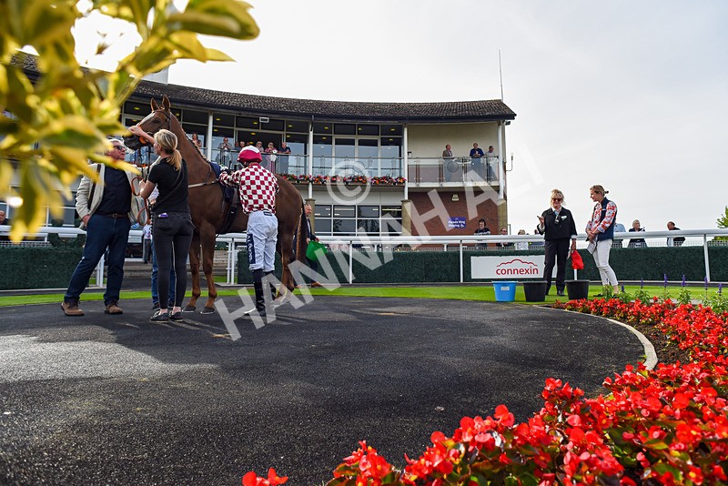 050724-Race 2-Ventura Express-2-3 - Race 2