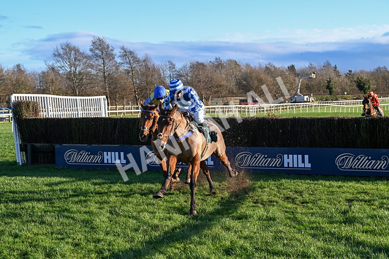 010125-Race 2-Beat The Edge-5867 - Race 2