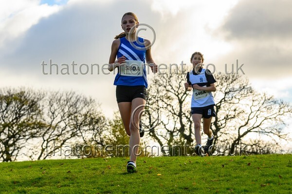 NatRel25-913350 - Young Female Set One