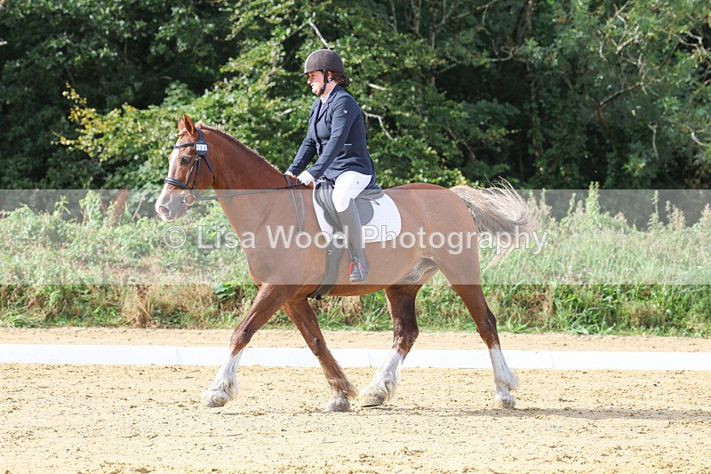 3E7A2257 - Class 1: Intro 4 2024 section A