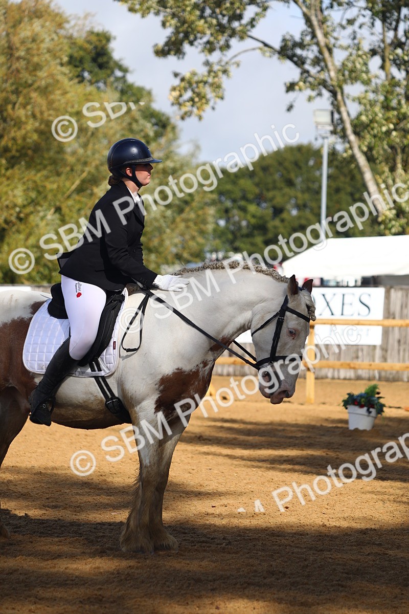 SBM_39009 - D21 - Junior Championship Intro 1