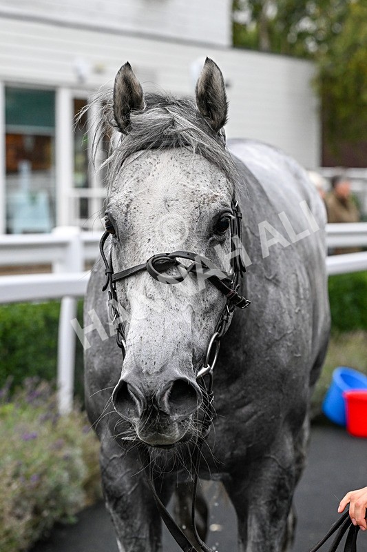 011025-Race 6-Mudamer-0701 - Race 6