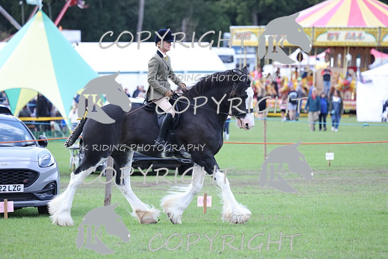 APP_3641 - Class 8 Ridden Class