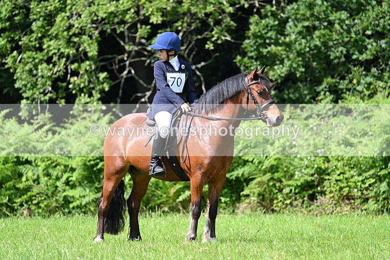 WJ7_1136 - Class 11 Condition & Turnout