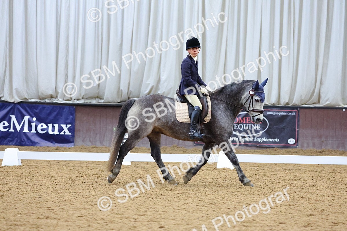 SBM_001078 - Novice