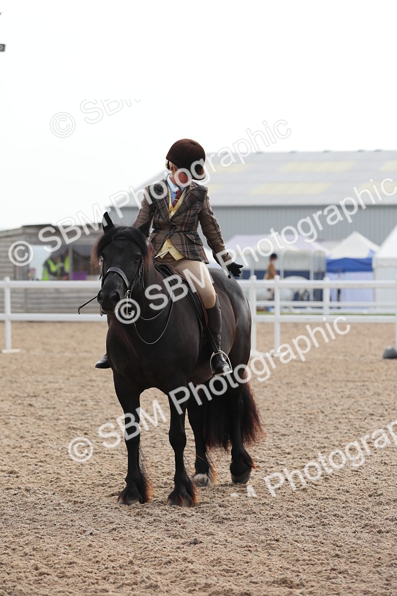 SBM_10058 - Class 302 Ridden M&M -Large Breeds