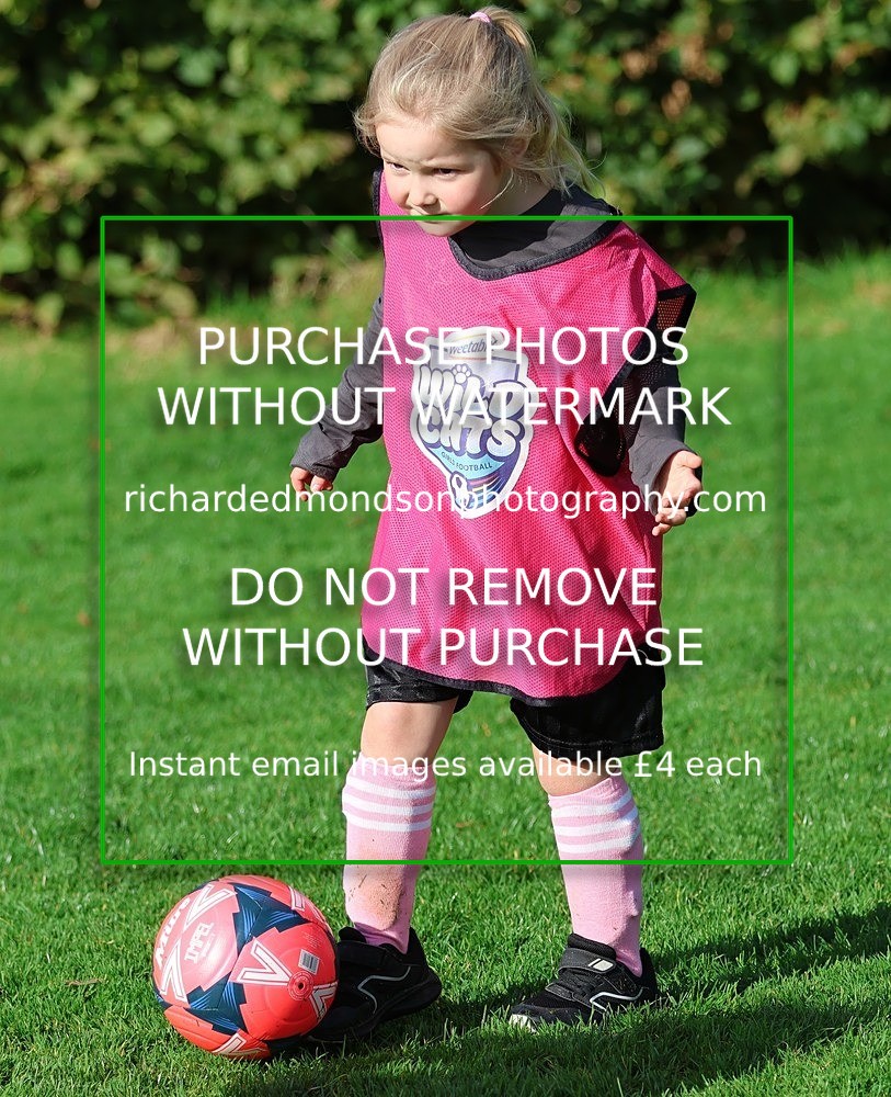 533A7133 - Kendal Utd Wildcats (11/10/25)