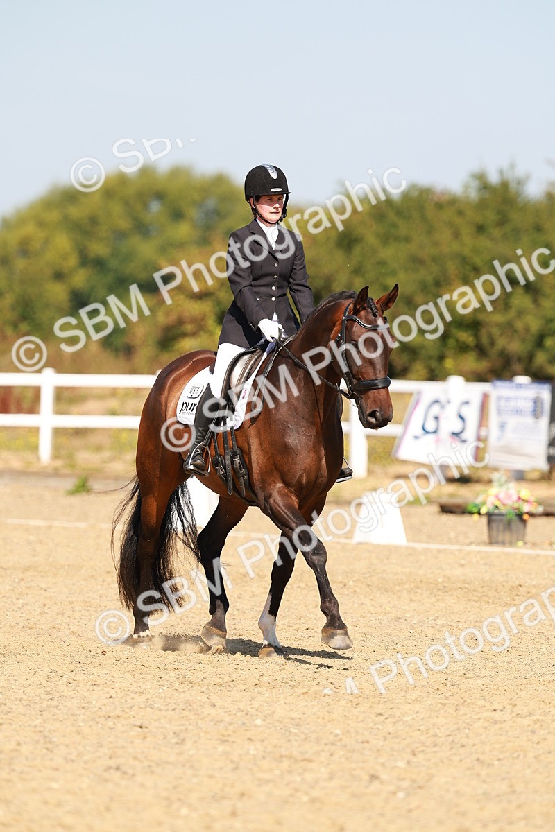 SBM_017662 - Class 9 - N5 Bronze 10.33.11.36