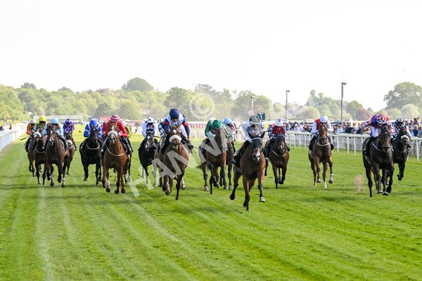 160525-Race 5-The Man-6997 - Race 5 4.15pm Irish Thoroughbred Marketing Handicap