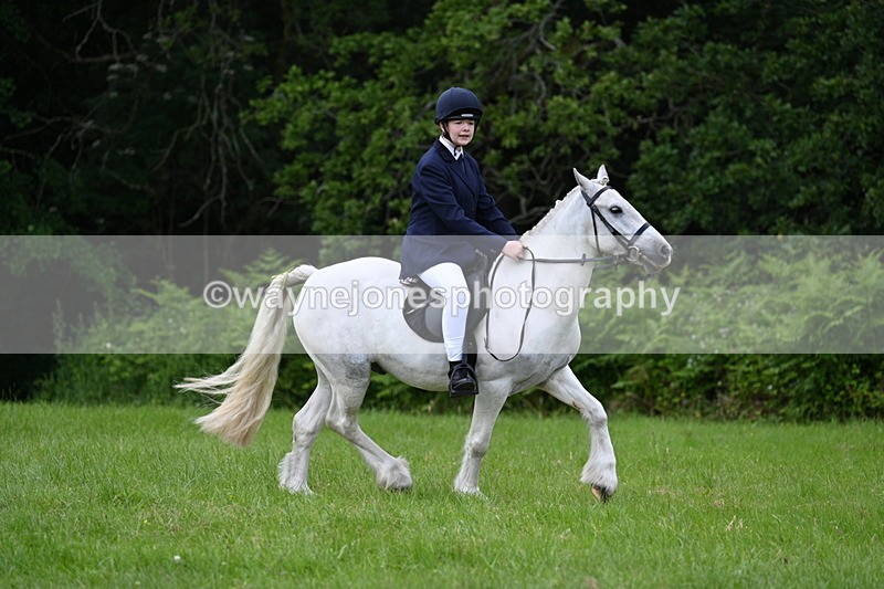 WJ7_2582 - Class 12A Coloured Class