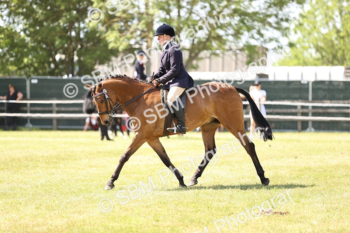 SBM_18009 - Class 81-83 - TSR Ridden Amateur of the Year - Horses