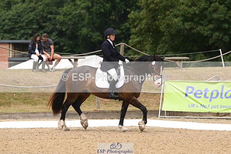 250720A-115845-10107 - 079-Amanda.Williams-Llanarth.Westminster