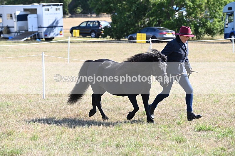 WJ6_4243 - Class 16 Condition & Turn Out