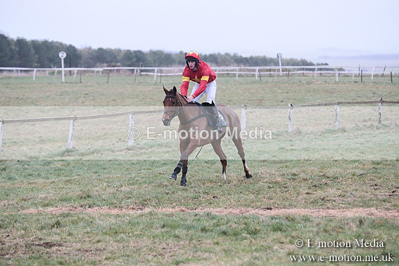 PtP 230119 436 - Royal Artillery Point-to-Point  - Larkhill  - 26/01/19