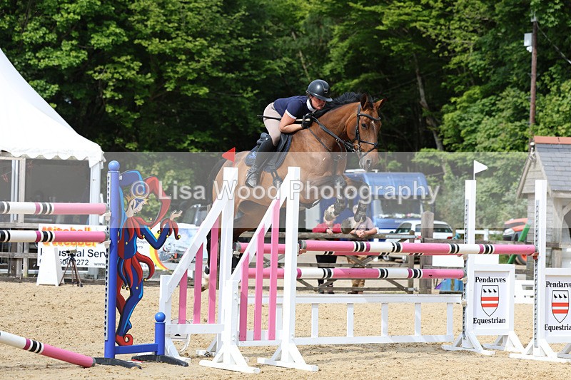3E7A7706 - Class 8: Senior Foxhunter/1.20 open
