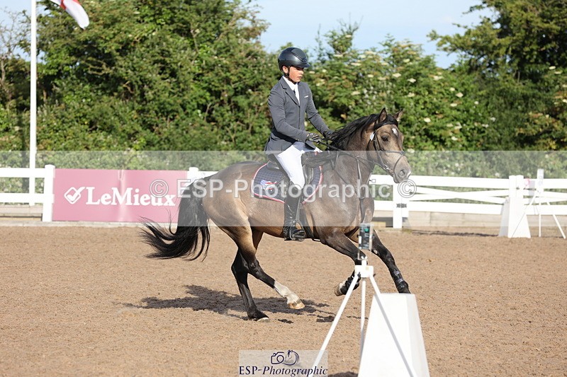 240629A-073242-02114 - Cls 16 British Novice and 80cm Open