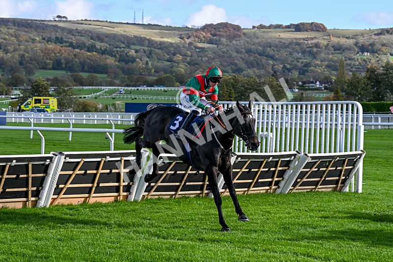 241025-Race 1-Stoners Choice-2113 - Race 1
