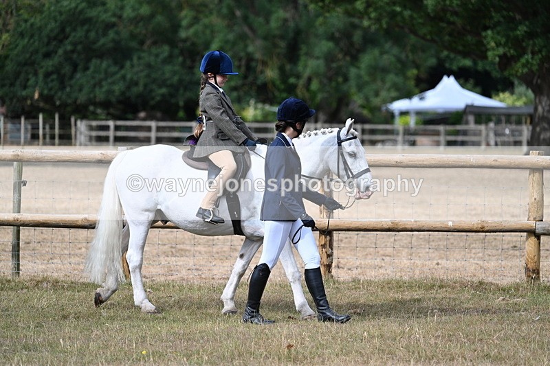 WJ7_6401 - Class 1 Lead Rein Pony