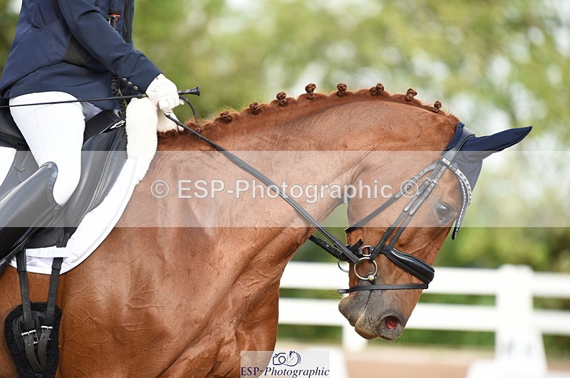 230912A-100044-00208 - Cls 2 Prelim 19