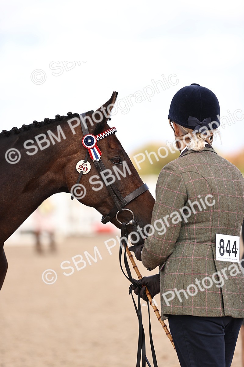SBM_11545 - Class 407 - IH Hack-Riding Horse