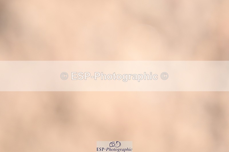 240622A-090914-06715 - Cls 23 BD Prelim 19