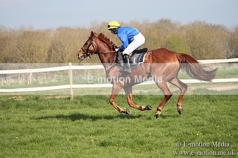 PtP 210418 474 - South & West Wilts Point-to-Point Larkhill 21/04/18