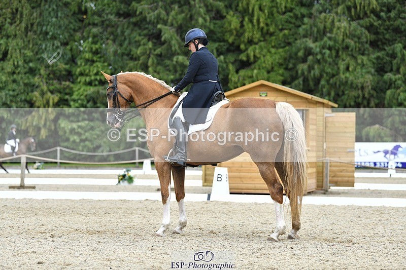 230812-143928-04748 - Cls 7 FEI PSG Bronze