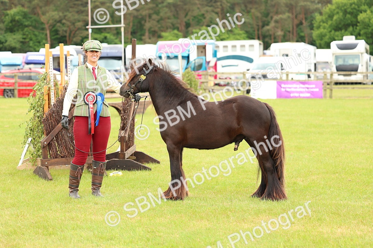 SBM_06359 - Class 39-41 TGCA In Hand and Ridden