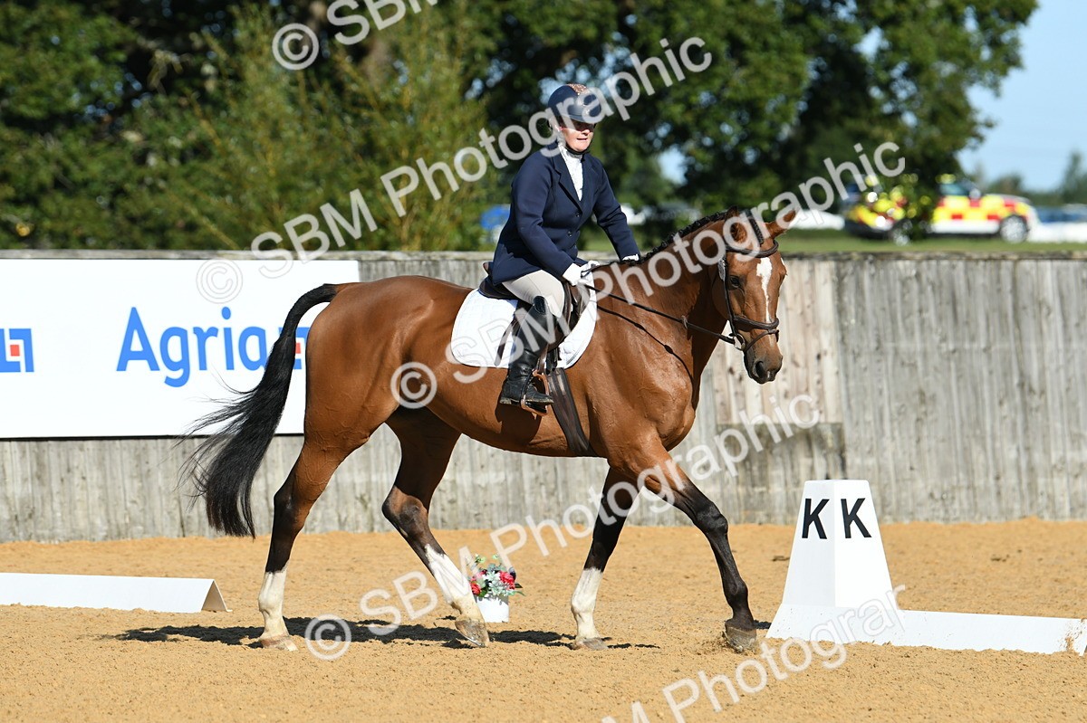 SBM_16212 - D4 - Small Tour Championship - Intro B