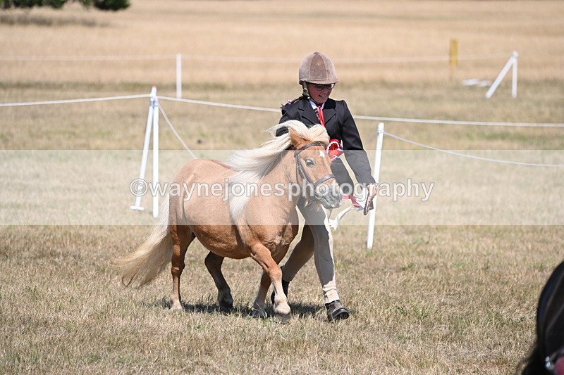 WJ6_9295 - Championship Classes 33-38