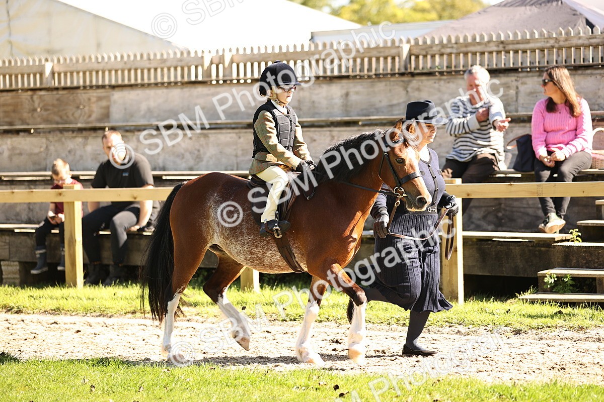 SBM_19217 - S3 - TSR Ridden Pony Showing