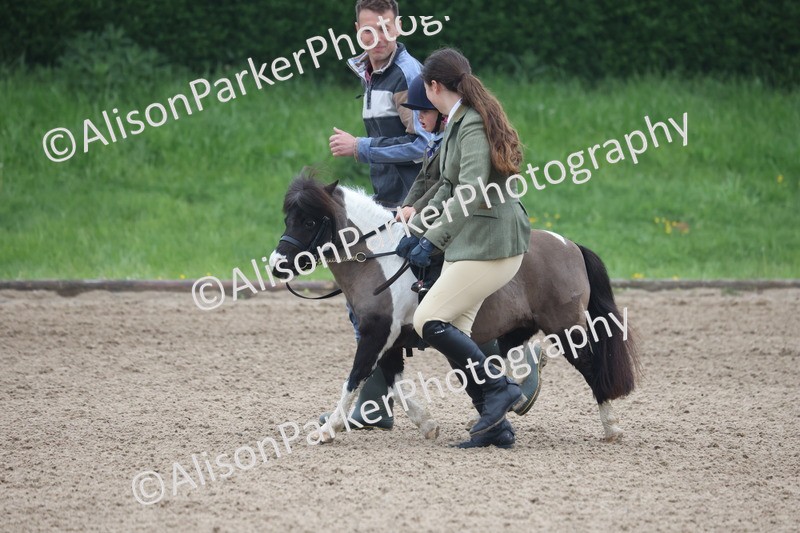 20260504-0098 - Class 9 - Lead Rein Pony