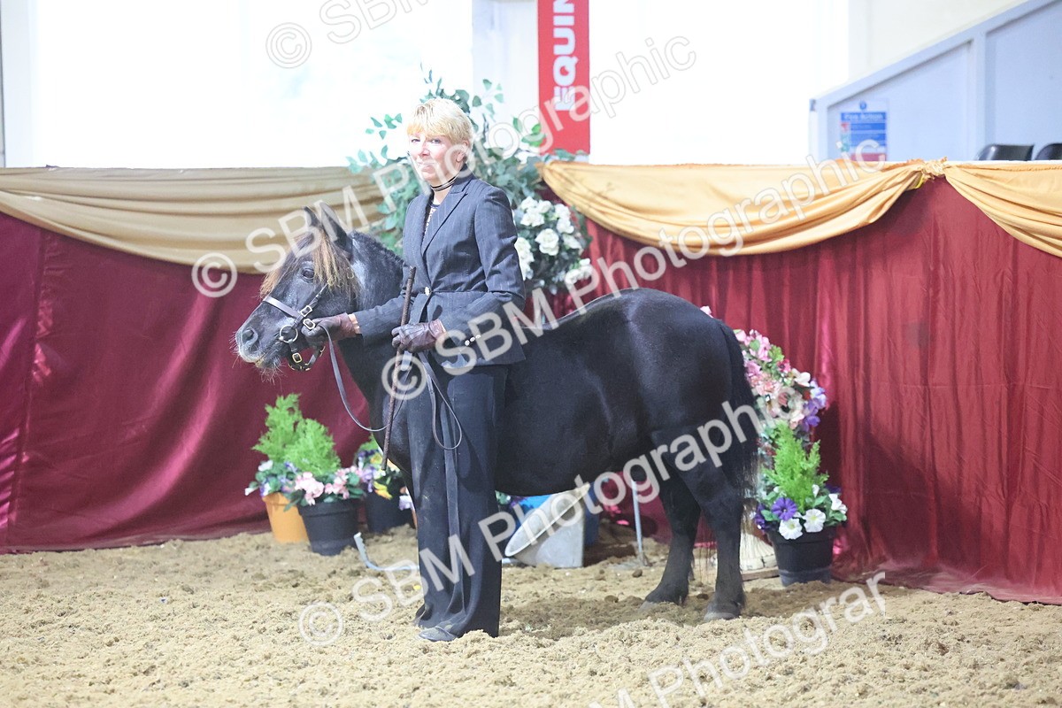 SBM_19785 - Class 901 - Supreme Final - IH Diamond