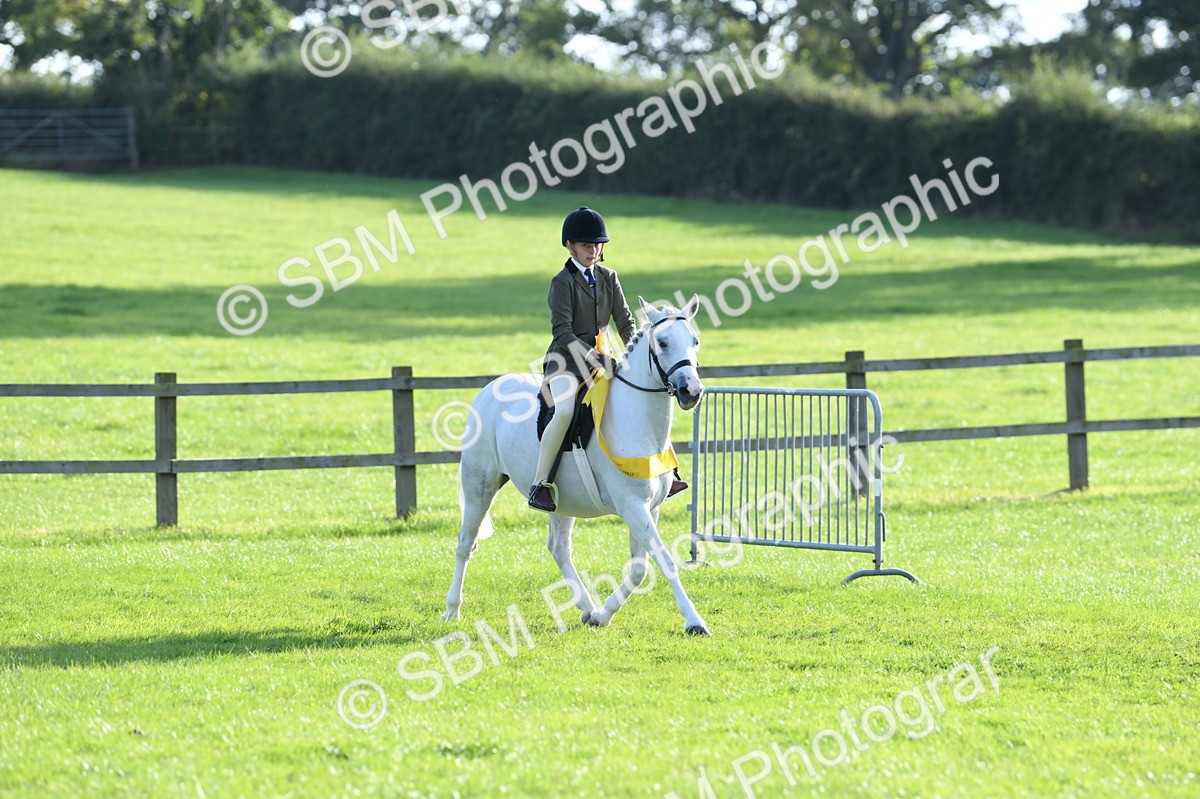 SBM_52454 - S22 - 1st Ridden Show & Show Hunter Pony
