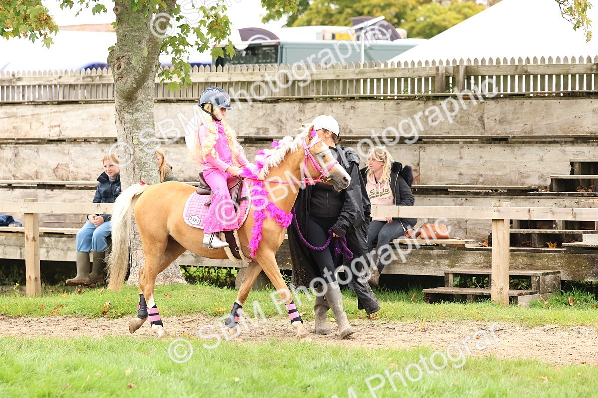 SBM_61630 - S37a - Fancy Dress Showing
