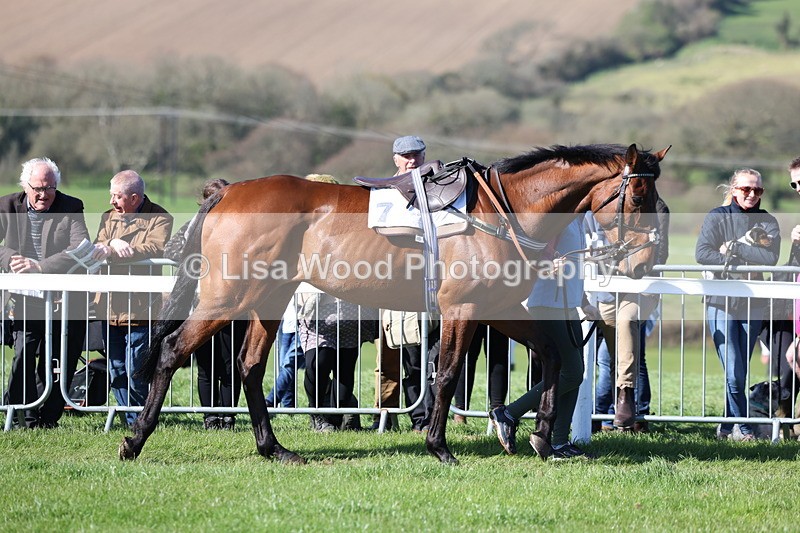3E7A5612 - Race 6: Maiden (NWFAA)