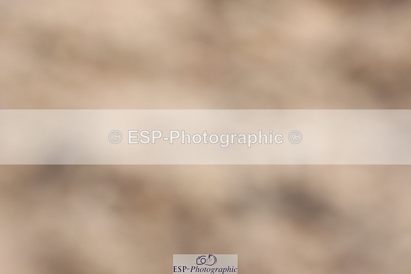 240622A-090141-06994 - Cls 24 BD Prelim 15