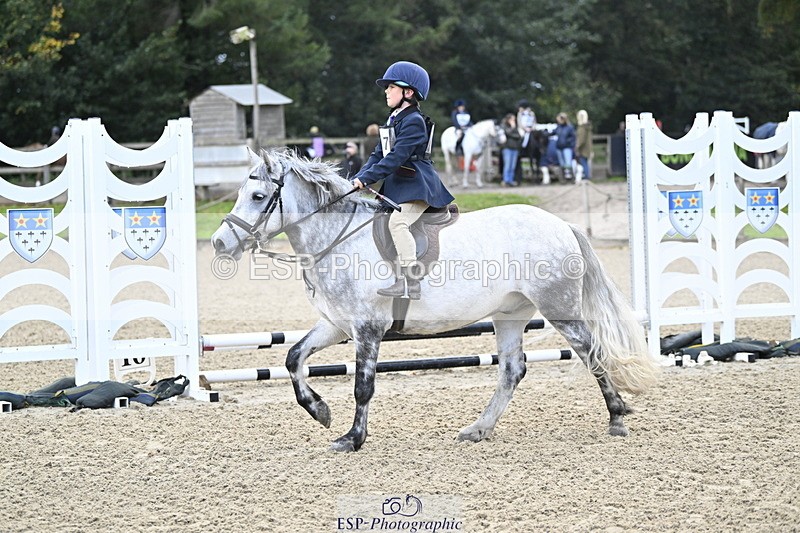 251005A-082017-02751 - Cls 01 GR 40cm