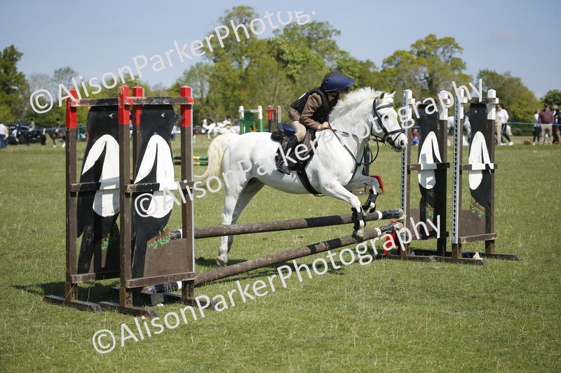 20250427-2209 - Class 13 - Novice Jumping 60cm