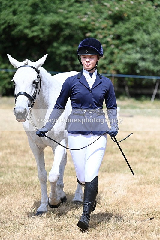 WJ7_1608 - Class 4 Prettiest Mare up to 14.2hh in hand
