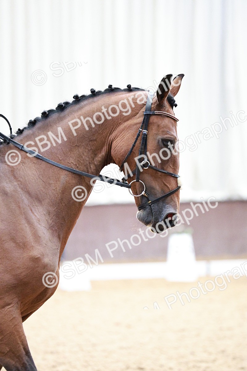 SBM_004661 - Class - 14 - Novice FSM - 11.13-12.01