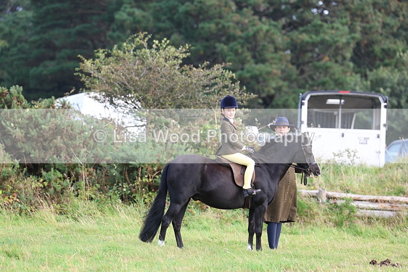 3E7A3441 - Class 2: Lead rein
