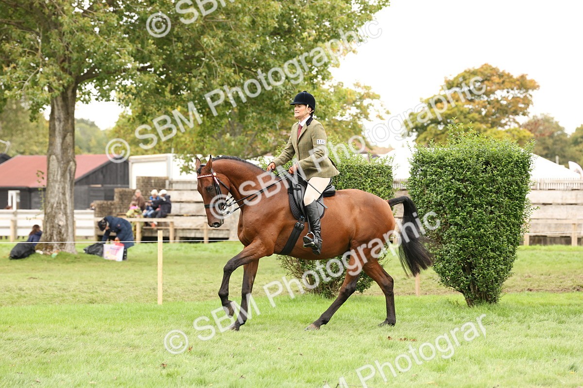 SBM_64229 - S65 - Riding Horse & Hack & Thoroughbred Ridden