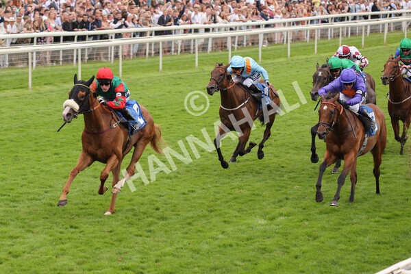 yr24072021r7-46 - Race 7 5.35pm The Sporting Life Fast Results Stakes