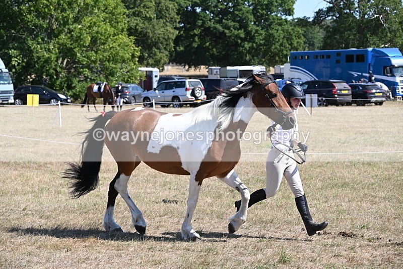 WJ6_8549 - Class 37b Best Loan Pony In-hand